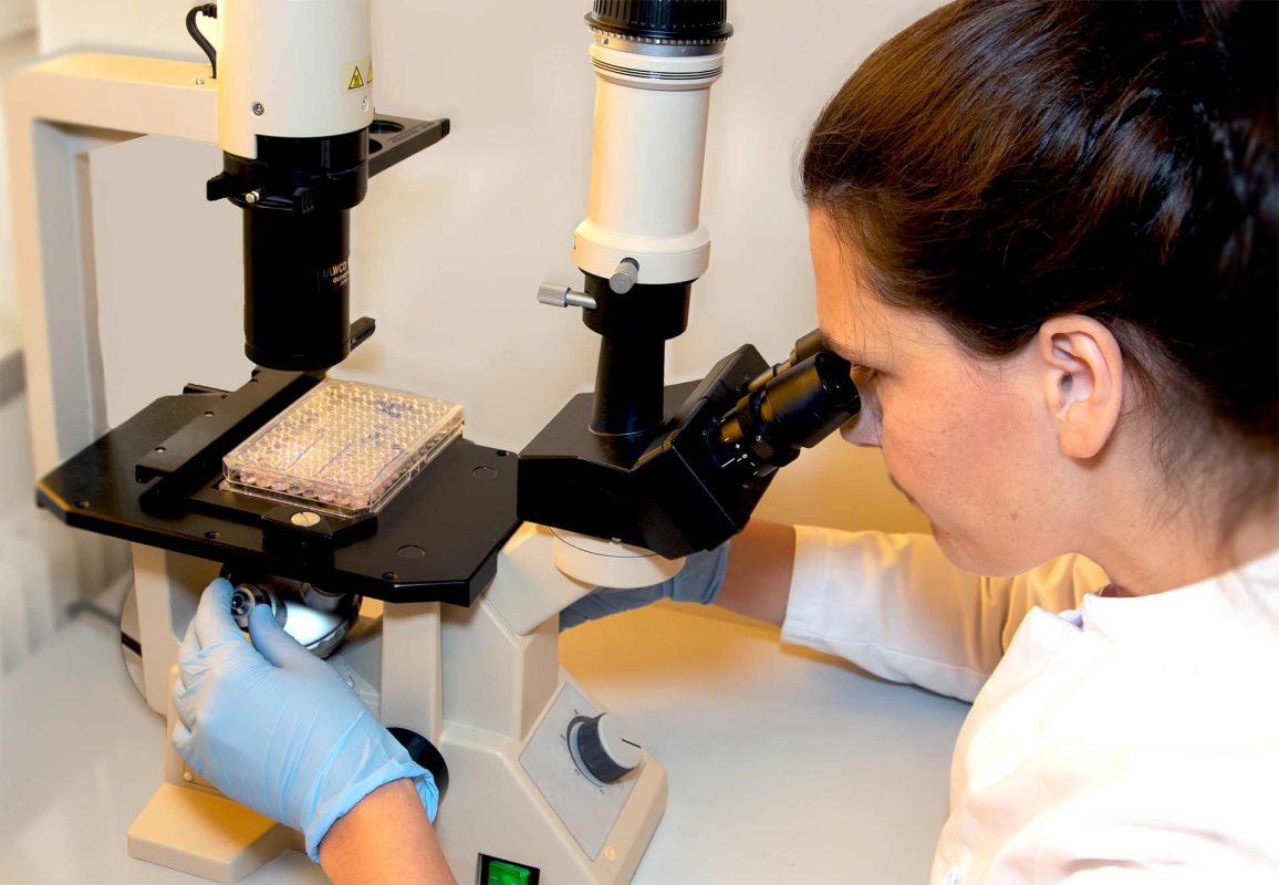 Eine Laborwissenschaftlerin mit Handschuhen arbeitet an einem Mikroskop und untersucht eine transparente Multiwell-Platte auf dem Objekttisch