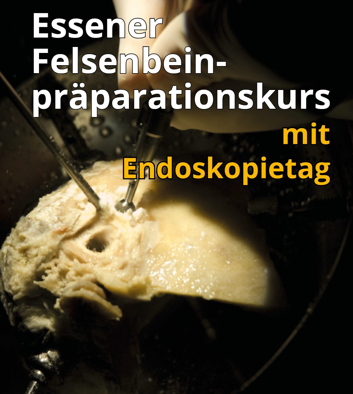 Essener Felsenbeinpräparationskurs - Titelbild
